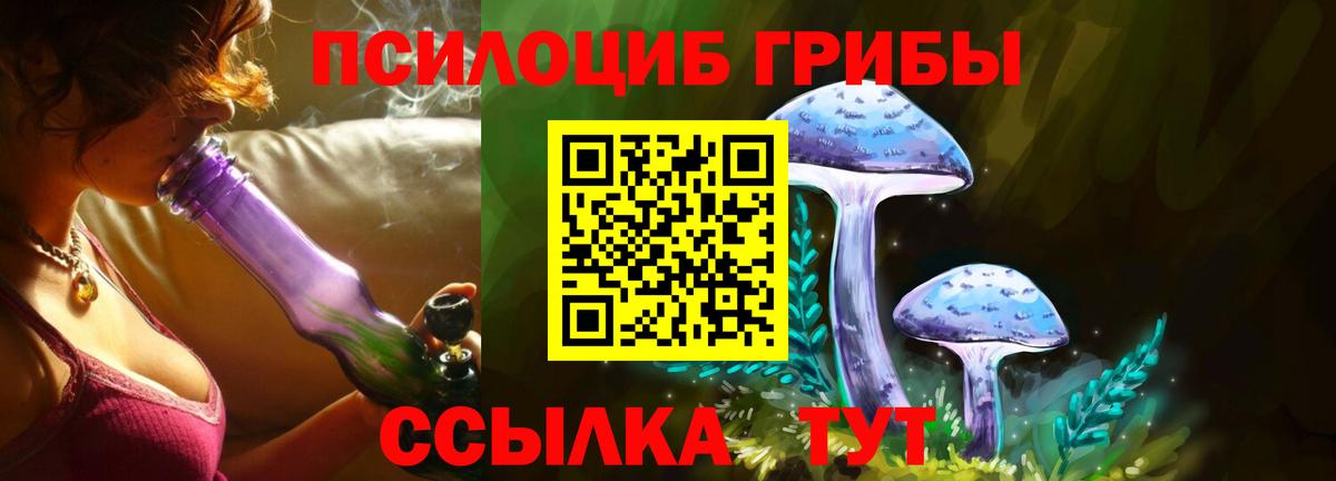 Зерноград  Галлюциногенные грибы Psilocybe  Вход с VPN  Галлюциногенные грибы GOLDEN TEACHER 